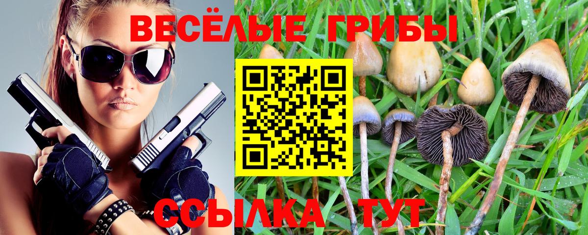 Псилоцибиновые грибы MAGIC MUSHROOMS Норильск