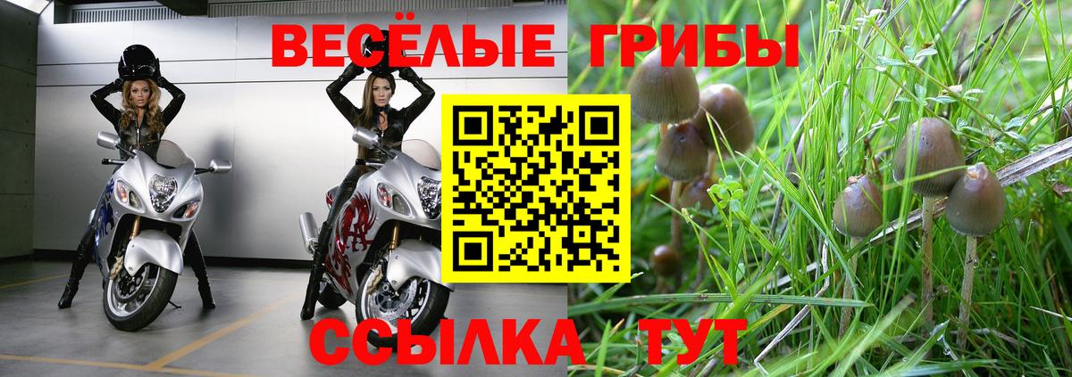 Норильск  Галлюциногенные грибы Magic Shrooms  Псилоцибиновые грибы MAGIC MUSHROOMS  Вход с VPN 